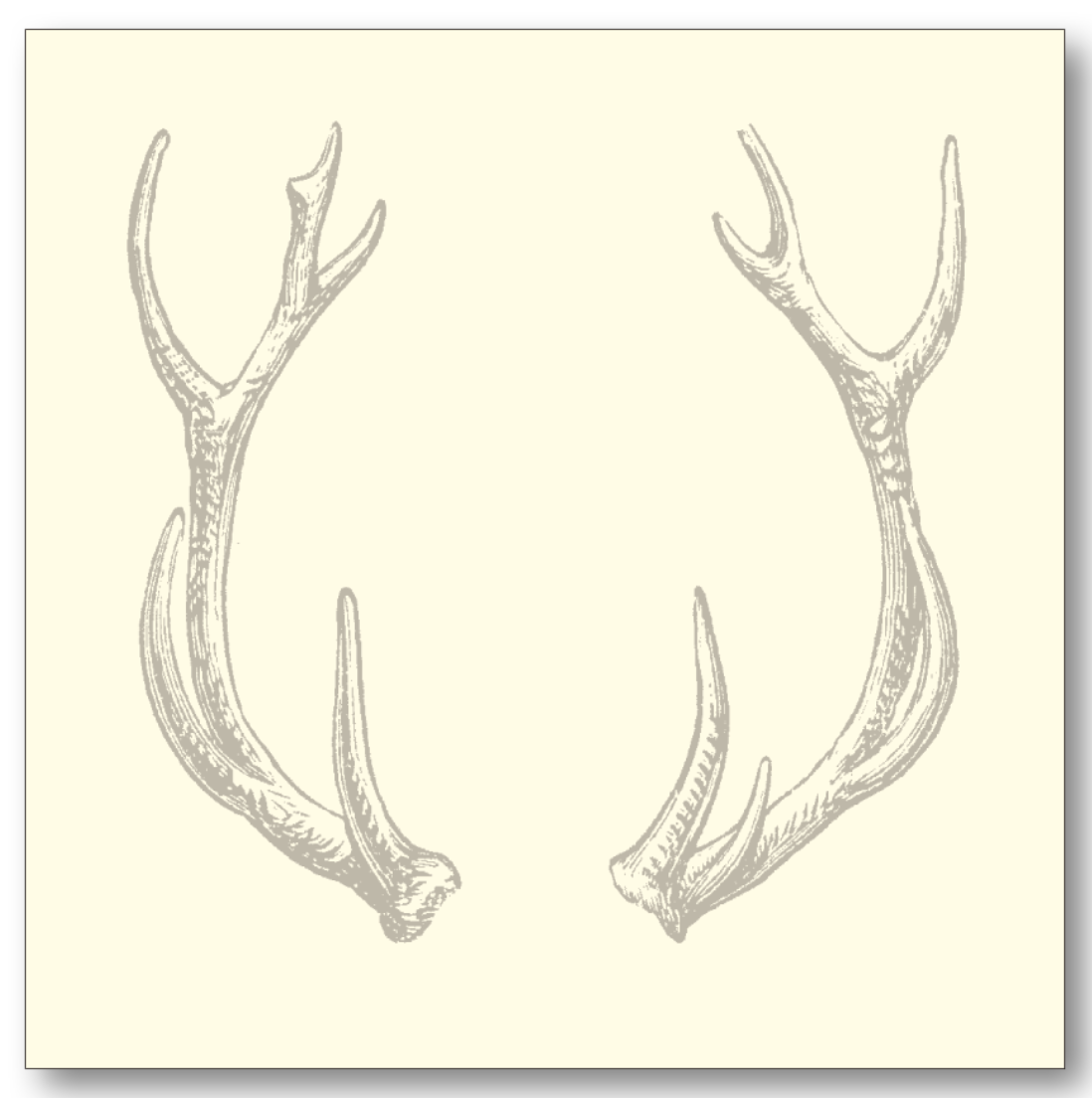 Antlers Note Block